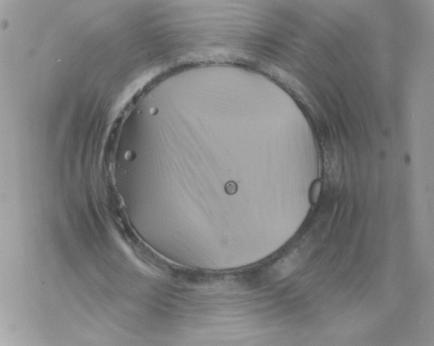 X0000077360674200611171924