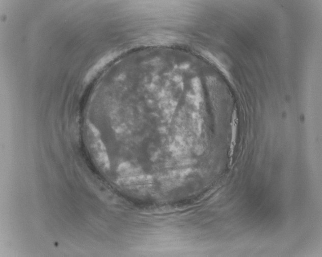 X0000077360675200611171924