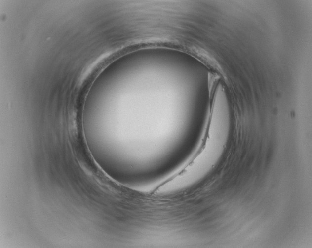 X0000077360676200611171924