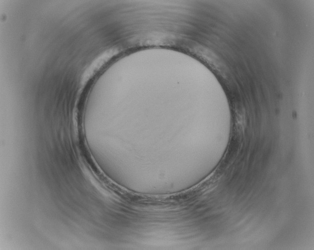 X0000077360678200611171924