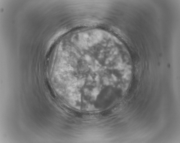 X0000077360679200611171924