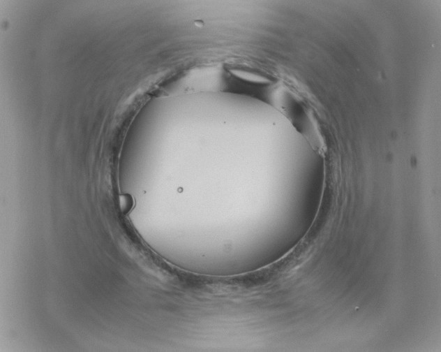 X0000077360681200611171924