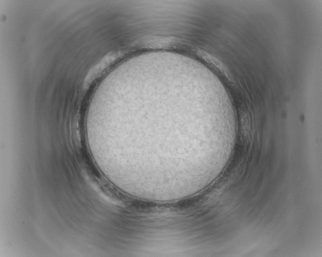 X0000077360682200611171924