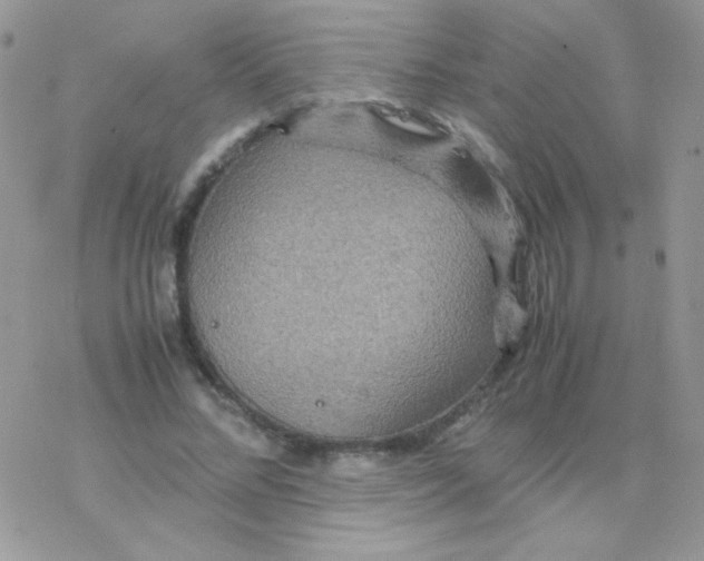 X0000077360684200611171924