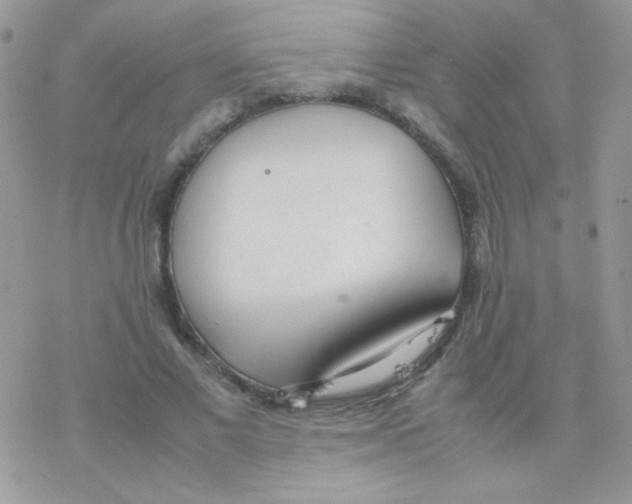 X0000077360685200611171924