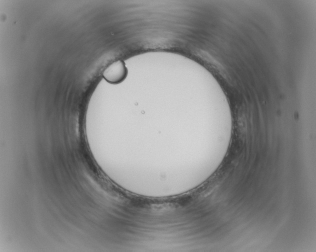 X0000077360686200611171924