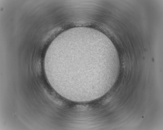 X0000077360690200611171924