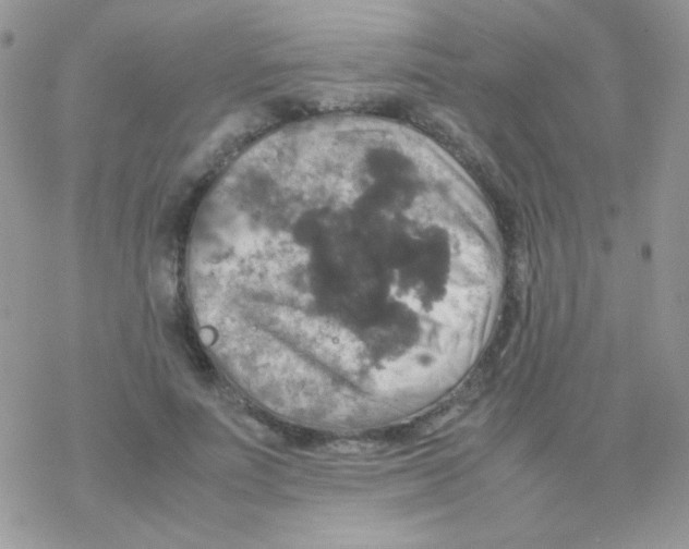 X0000077360691200611171923