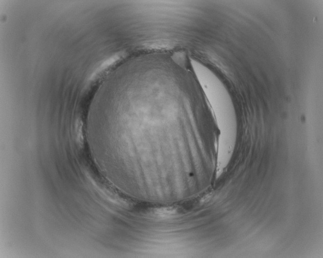 X0000077360692200611171923