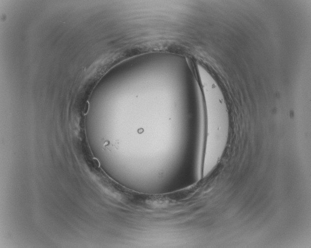 X0000077360693200611171923