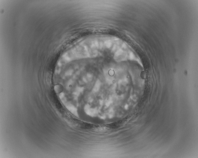 X0000077360695200611171923