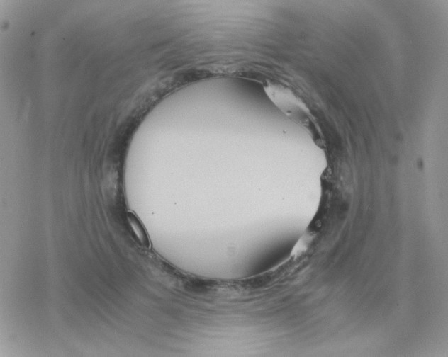 X0000077360697200611171923