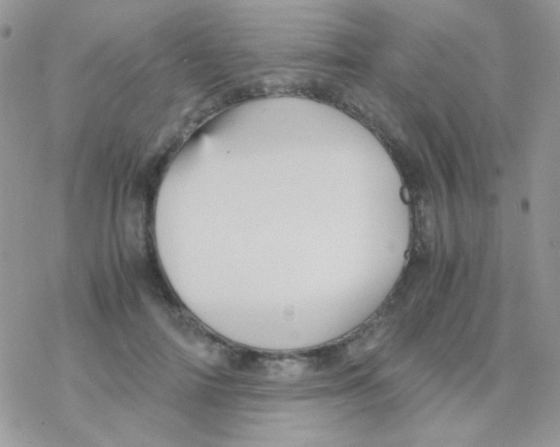 X0000077360698200611171923