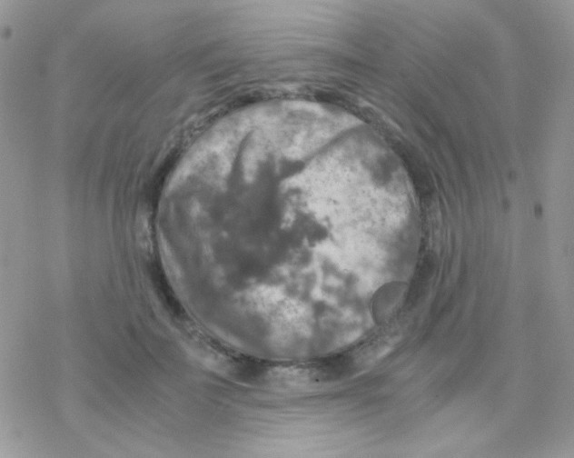 X0000077360699200611171923