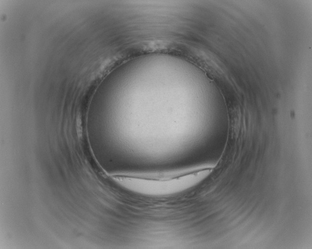 X0000077360700200611171923