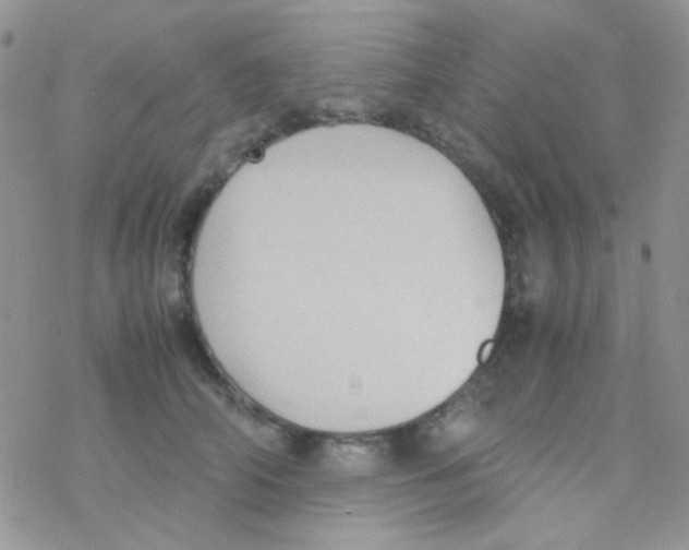 X0000077360706200611171923