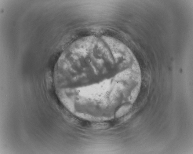 X0000077360707200611171923