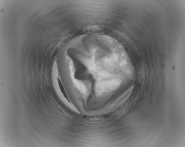 X0000077360708200611171923