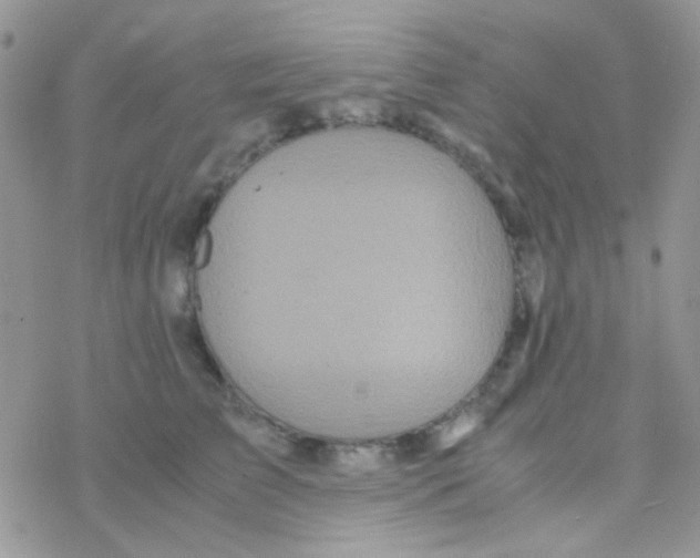 X0000077360709200611171923