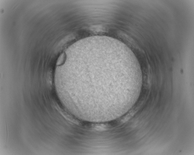 X0000077360710200611171923