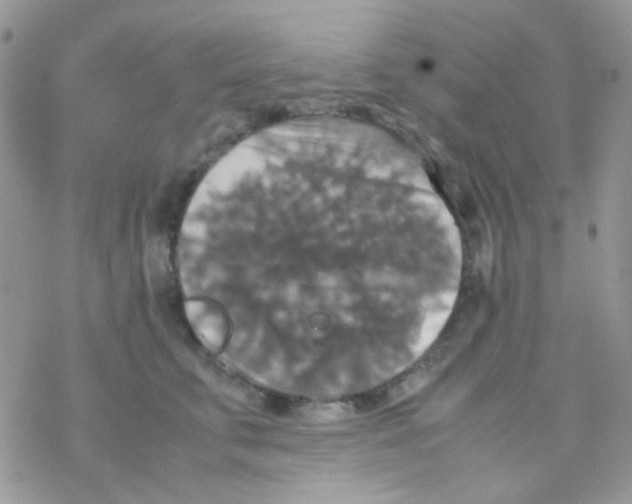 X0000077360711200611171923