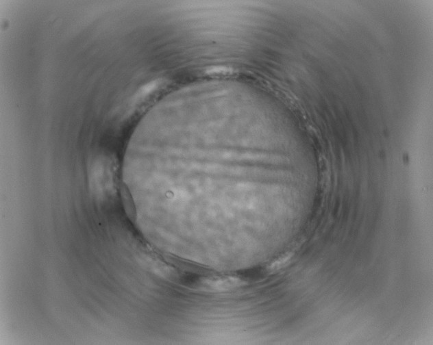 X0000077360712200611171923