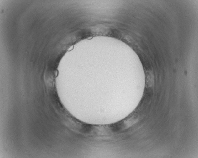 X0000077360713200611171923