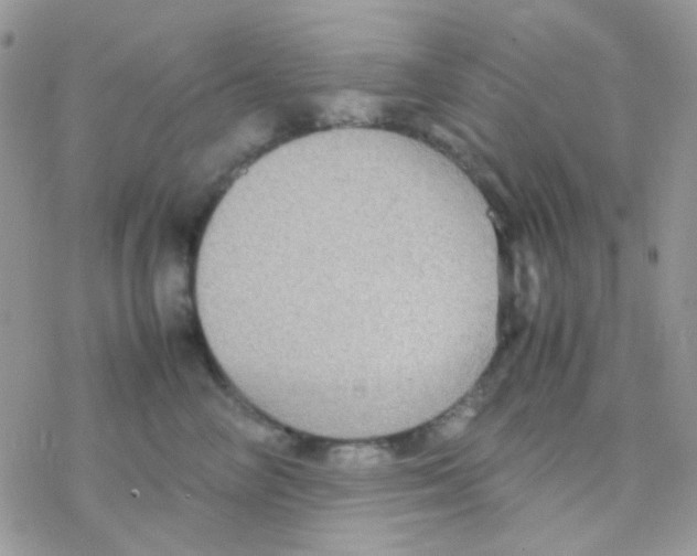 X0000077360714200611171923