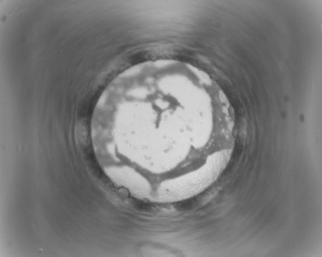 X0000077360715200611171923