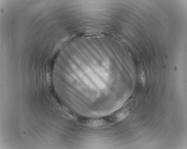 X0000077360716200611171923