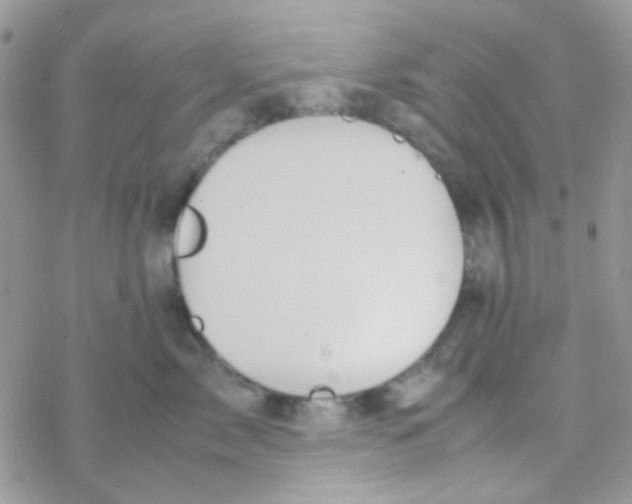 X0000077360717200611171923