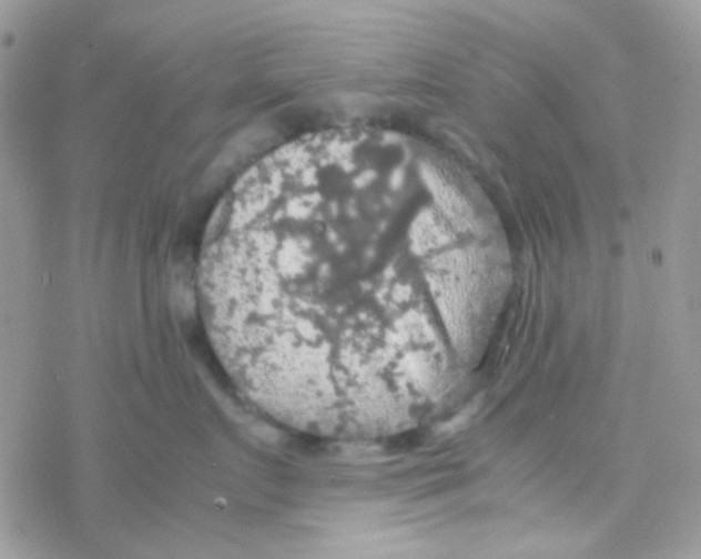 X0000077360719200611171923