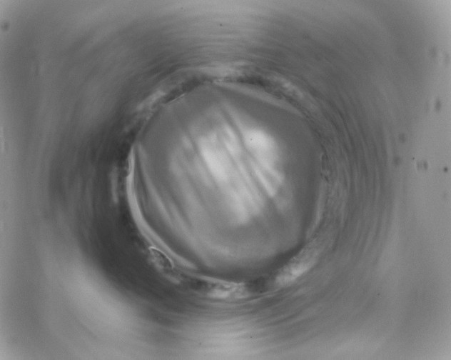 X0000077360720200611171923