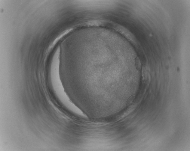 X0000077360722200611171922