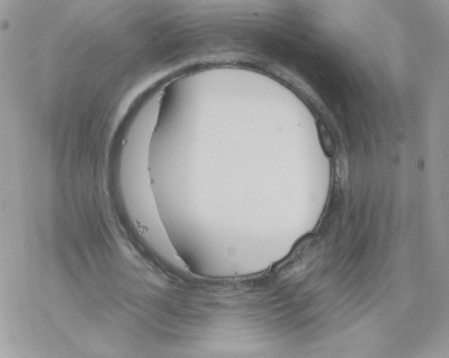 X0000077360724200611171922