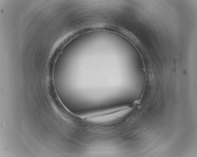 X0000077360728200611171922