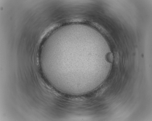 X0000077360731200611171922