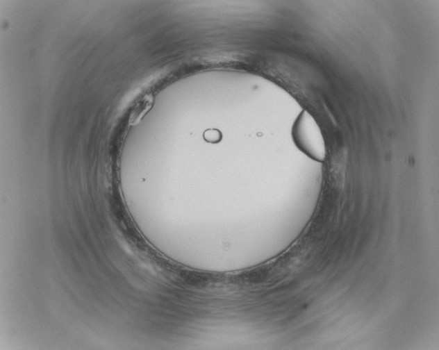 X0000077360732200611171922