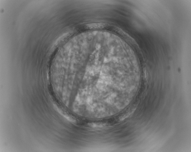 X0000077360733200611171922