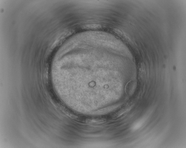 X0000077360739200611171923