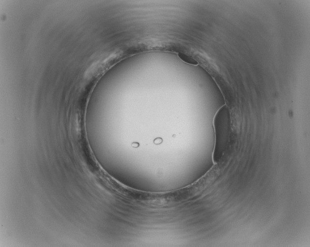 X0000077360740200611171923