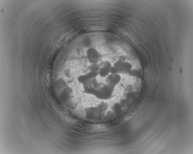 X0000077360741200611171923