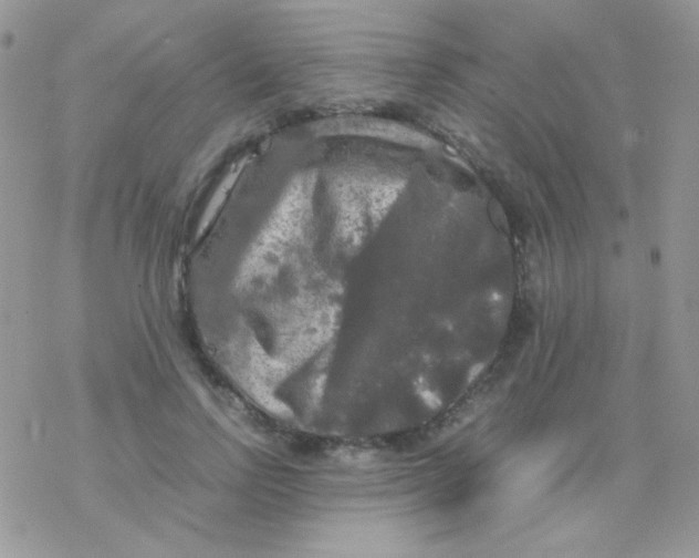 X0000077360742200611171923