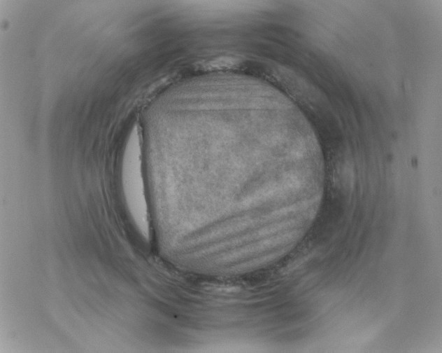 X0000077360743200611171923