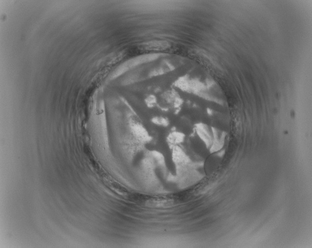 X0000077360745200611171923