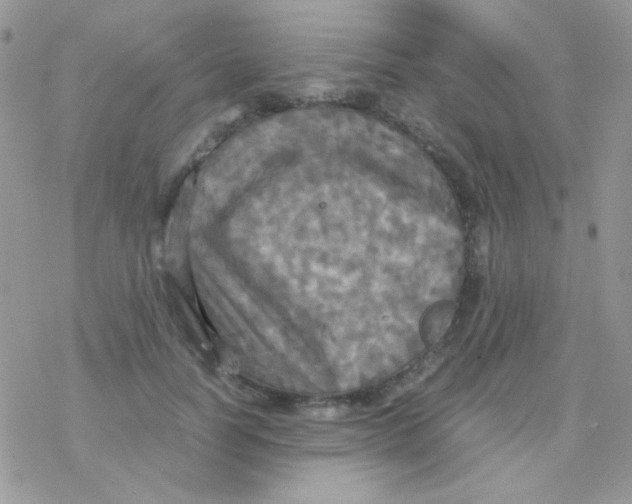 X0000077360746200611171923