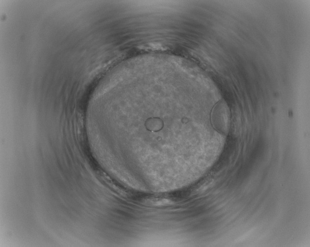 X0000077360747200611171923