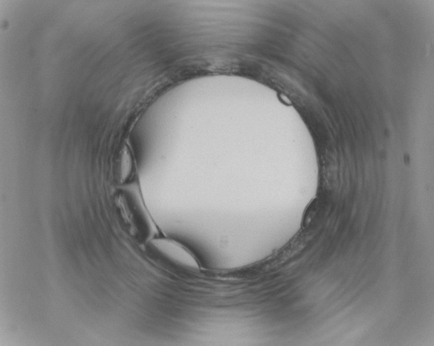 X0000077360748200611171923