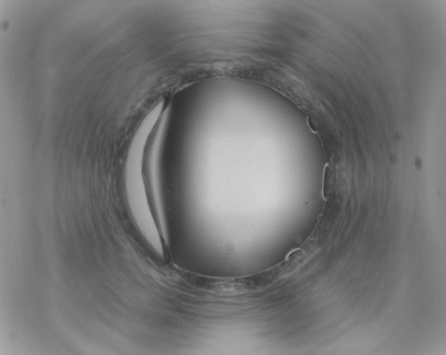 X0000077360750200611171923