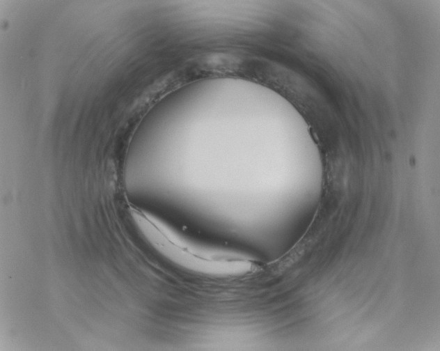 X0000077360752200611171923